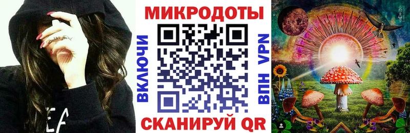 Купить где  Сенгилей  Псилоцибиновые грибы Psilocybe 